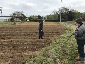 じゃがいも畑草取り