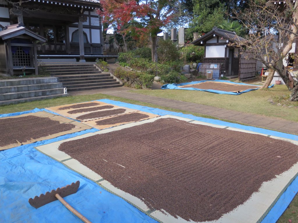 天日干し