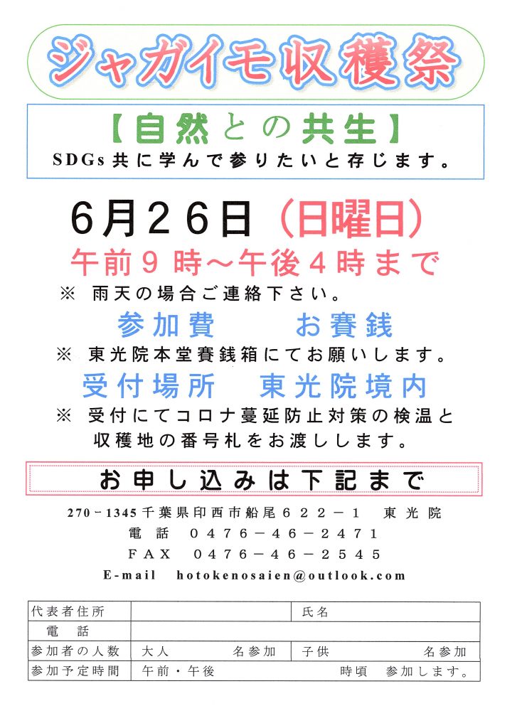 ６月２６日　ジャガイモ収穫祭を行います。