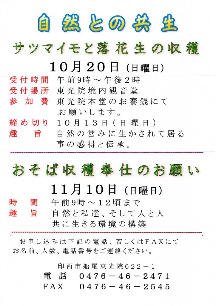 サツマイモと落花生の収穫・おそば収穫奉仕のお願い